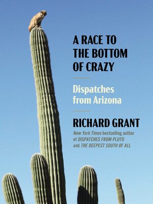 A Race to the Bottom of Crazy - ebook